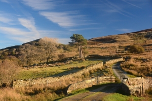 2016 XI - Llyn Cowlyd